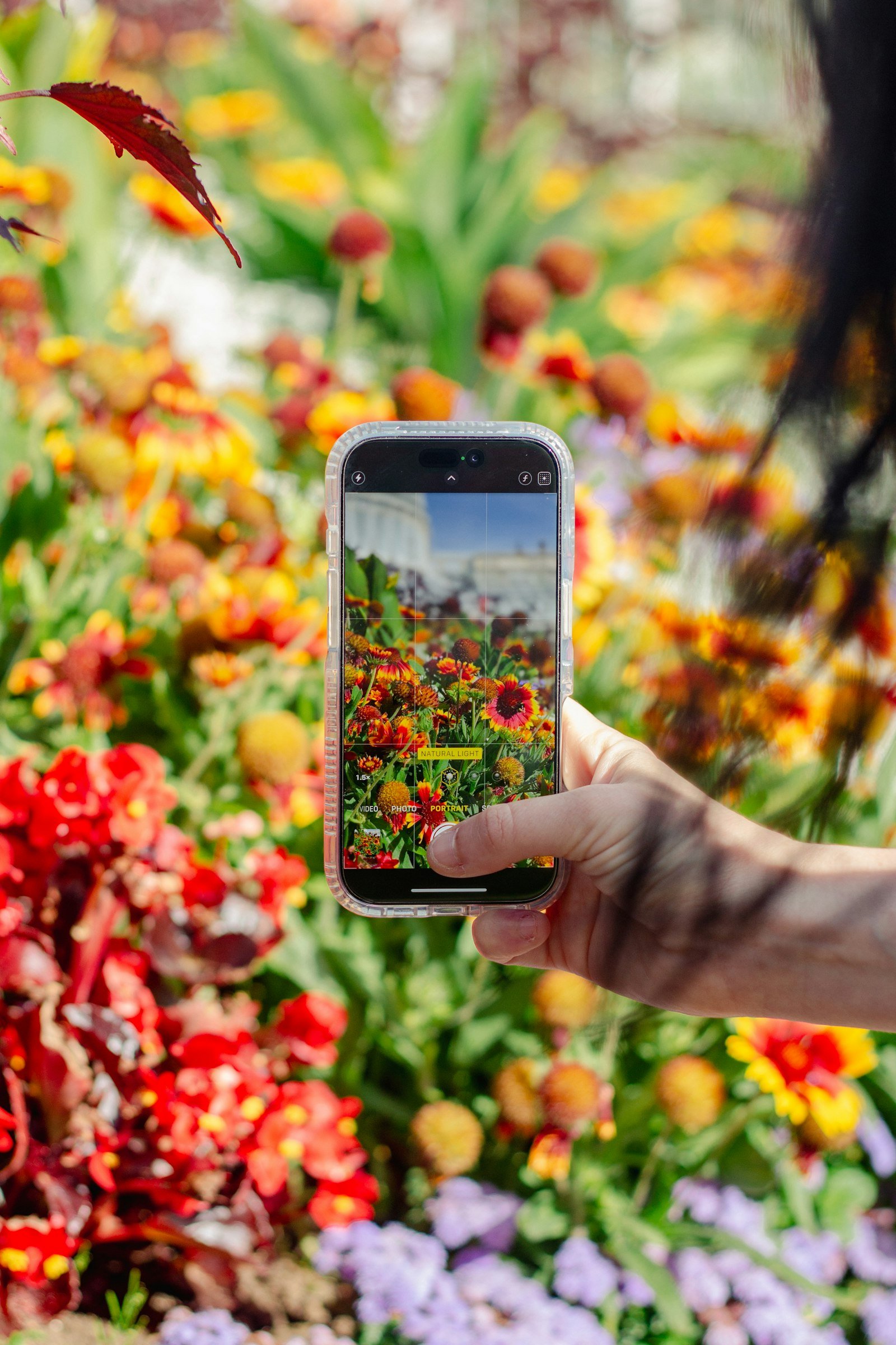Mano que fotografía flores con el móvil, el gesto que genera tráfico de búsqueda multimodal en Search Console